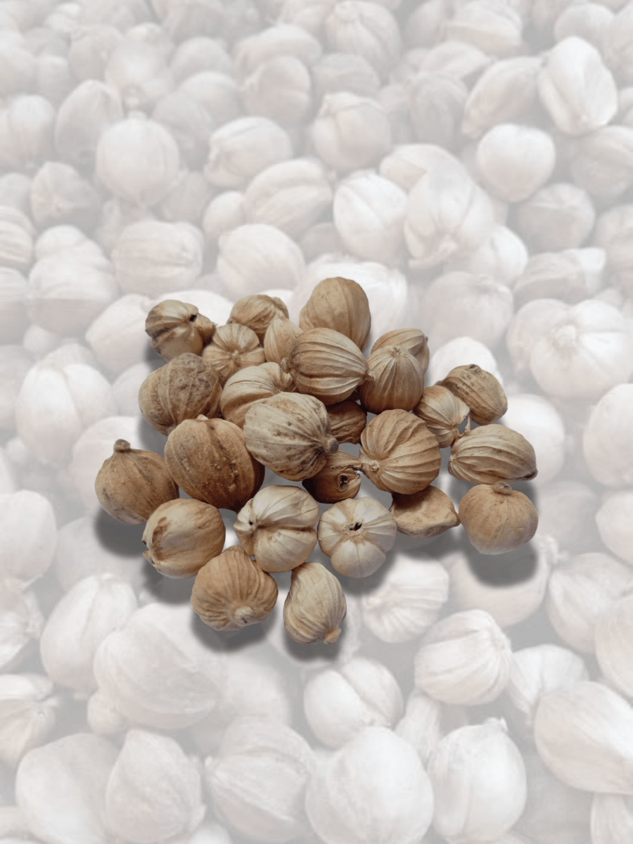 White Cardamom