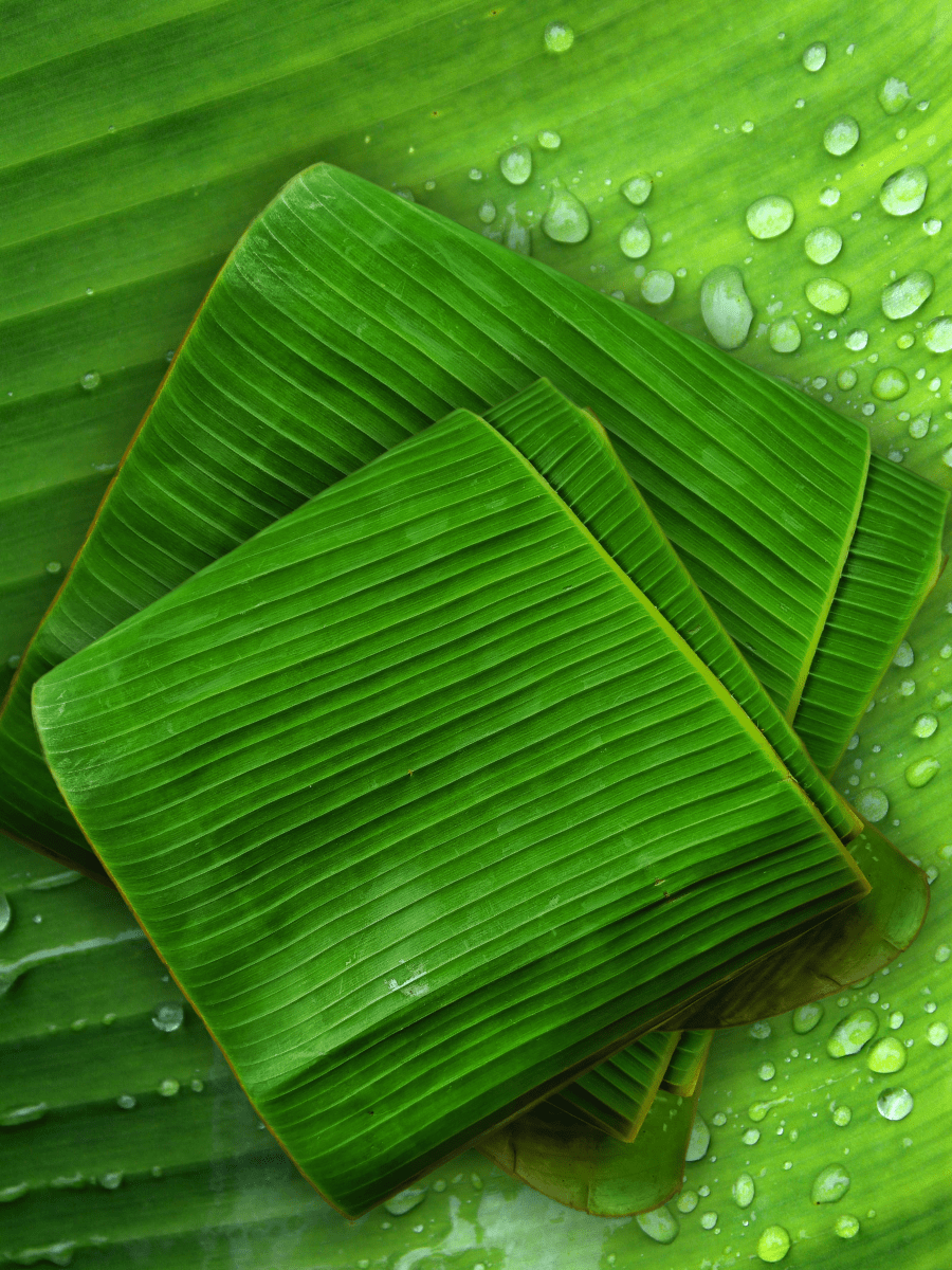 Fresh Banana Leaves
