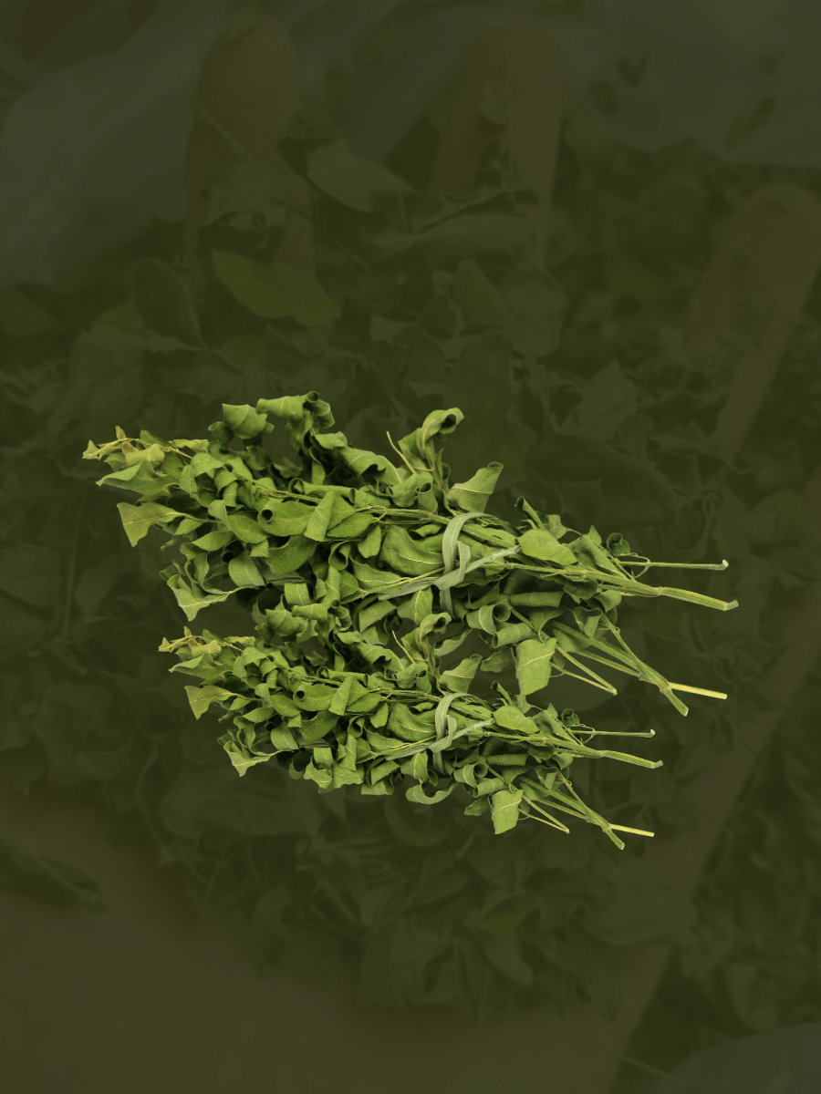 Dried Moringa Leaves